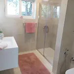Zorka * Supetarska Draga